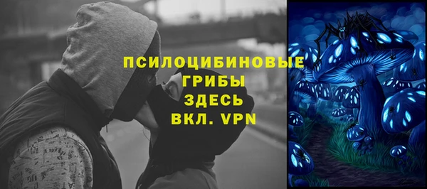 ALPHA PVP Дмитриев