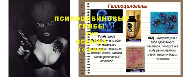 дживик Дмитров