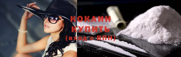 дживик Дмитров