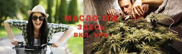 дживик Дмитров