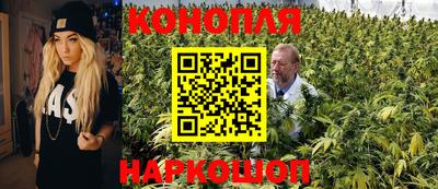 шишки Комсомольск-на-Амуре