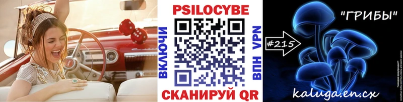 купить  сайты  Волоколамск  ссылка на мегу вход  Галлюциногенные грибы мицелий 