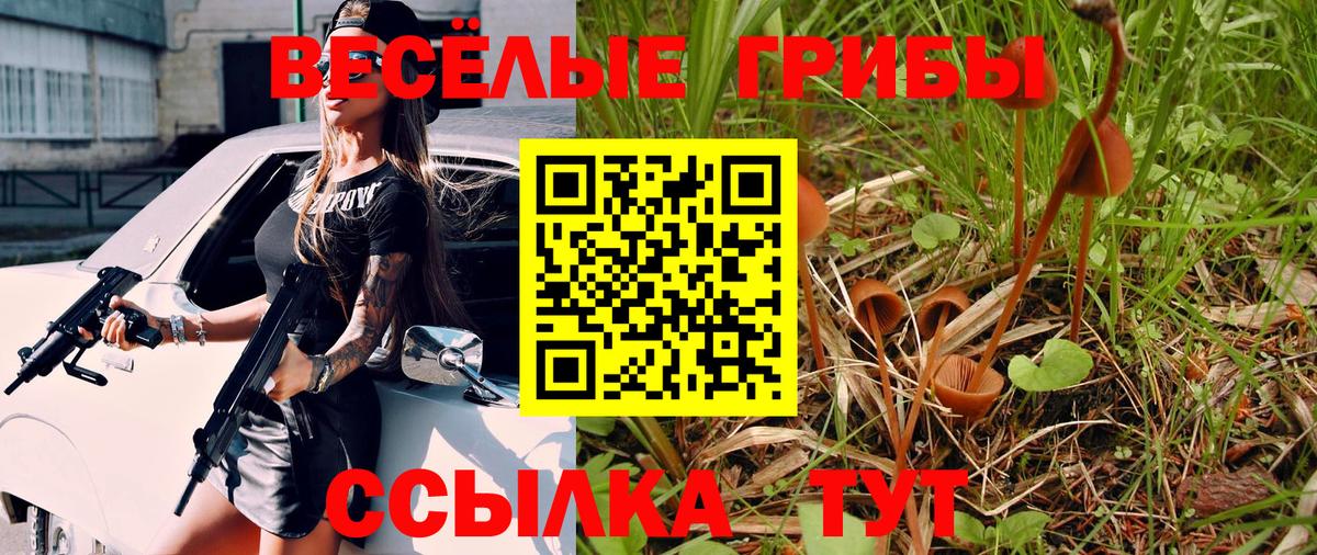 как найти   Псилоцибиновые грибы мухоморы  Галлюциногенные грибы Magic Shrooms  Вход с VPN  Волоколамск 