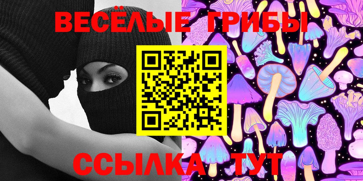 Псилоцибиновые грибы прущие грибы Волоколамск